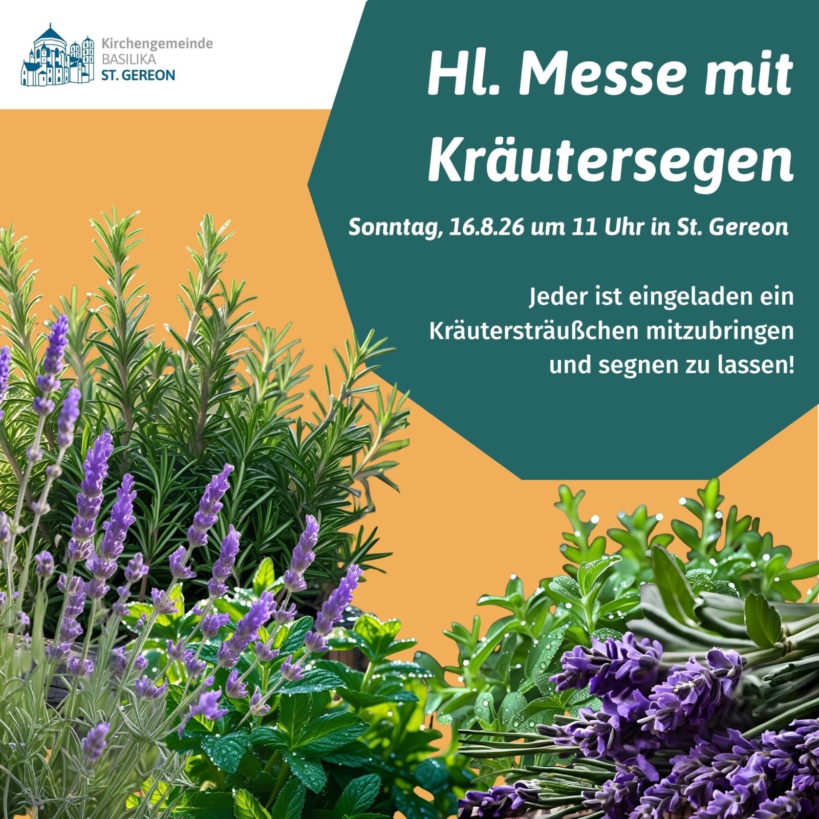 Kräutersegen (4)